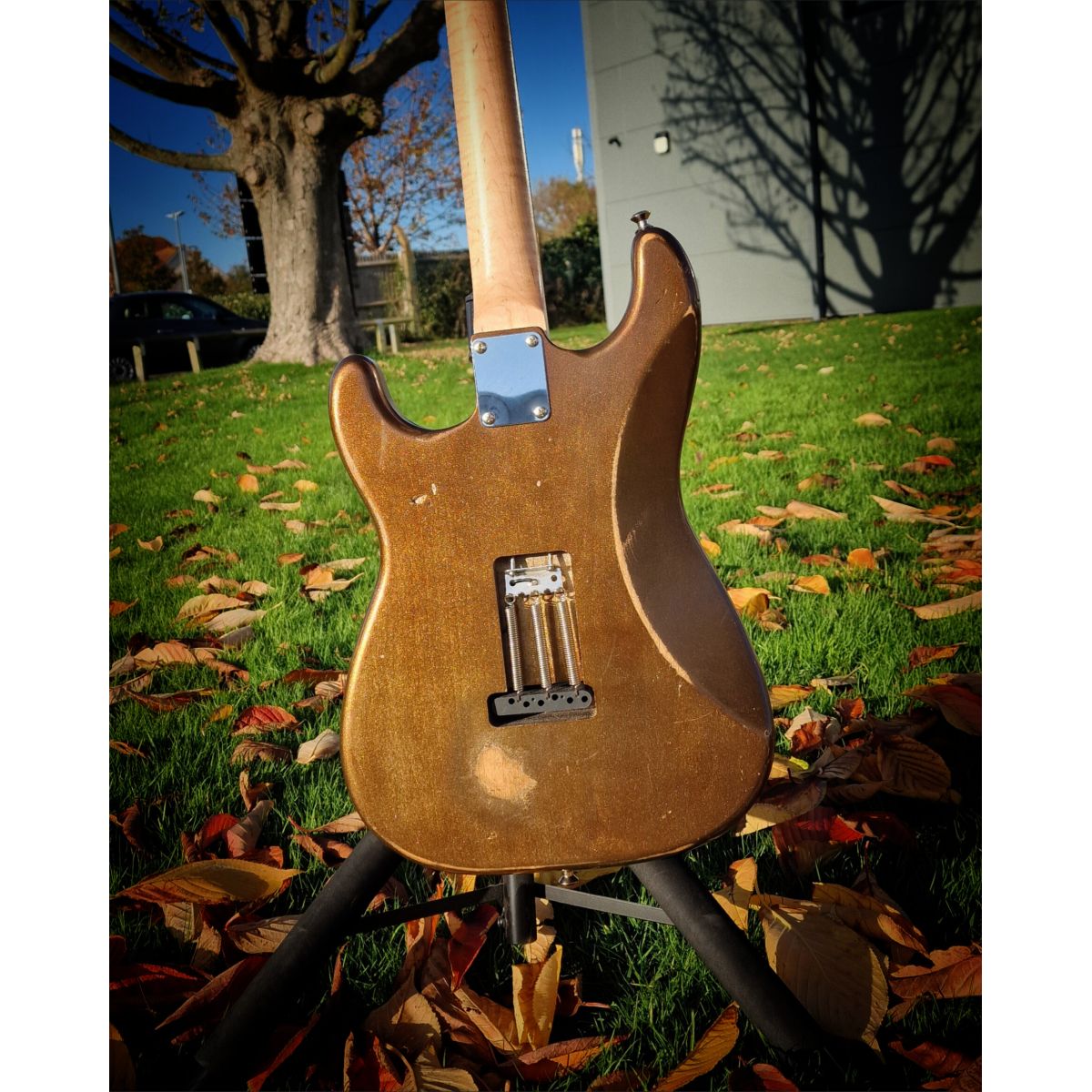 Moore Guitars Genesis; Mocha Copper #006
