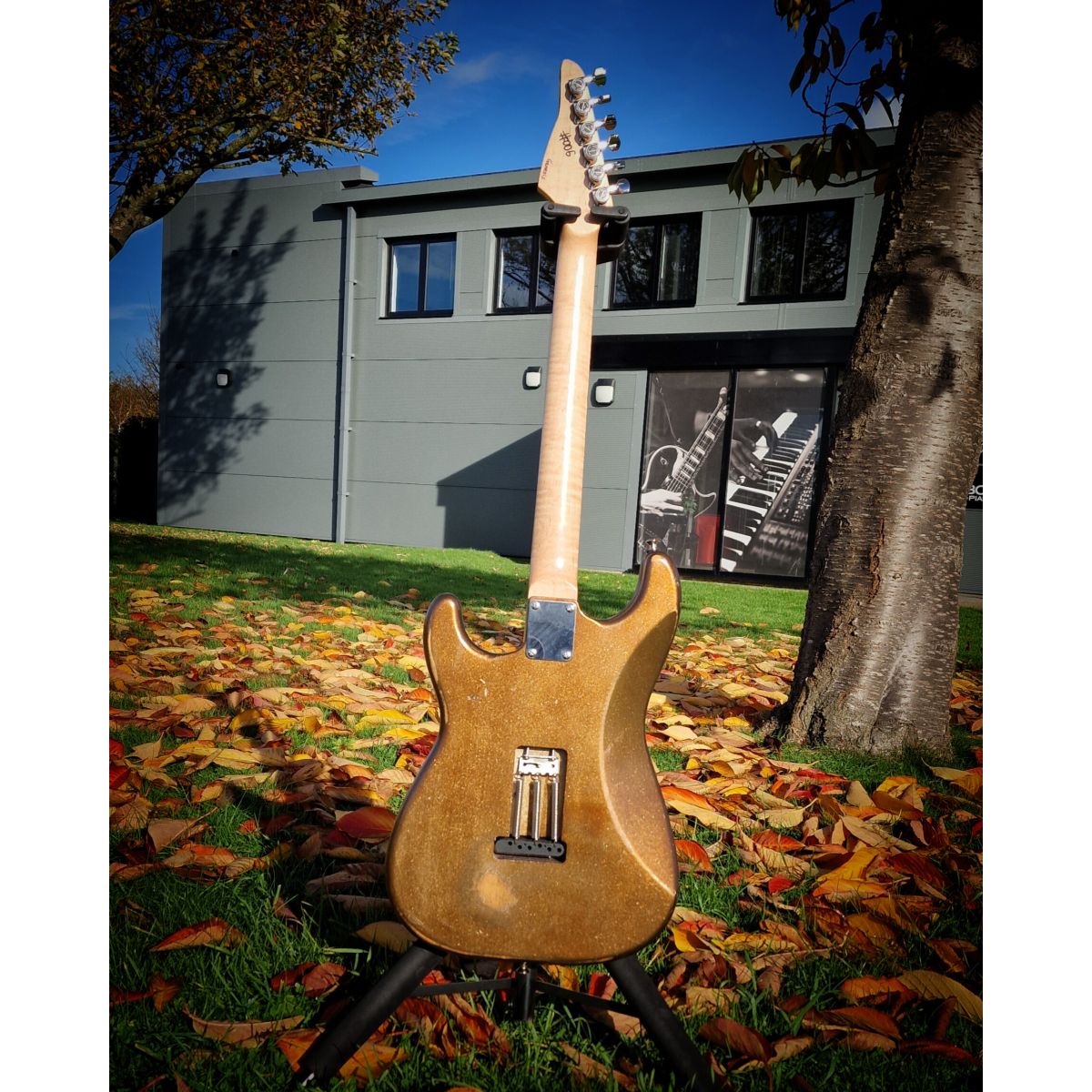 Moore Guitars Genesis; Mocha Copper #006