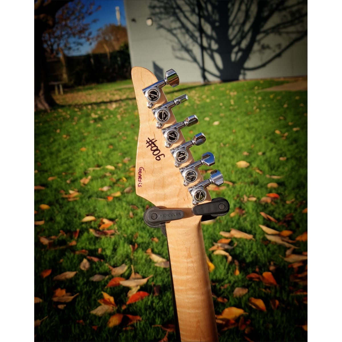 Moore Guitars Genesis; Mocha Copper #006