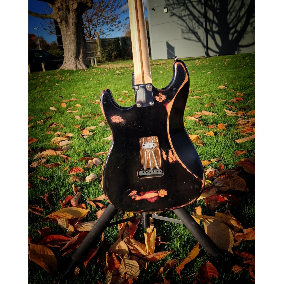 Moore Guitars Samuel; Black O/ Pink #008