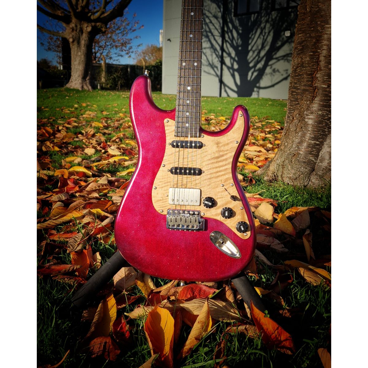 Moore Guitars Samuel; Pink Wood #011