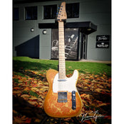 Moore Guitars Timothy; Pink/Gold Paisley #013