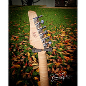 Moore Guitars Timothy; Pink/Gold Paisley #013