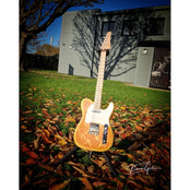 Moore Guitars Timothy; Pink/Gold Paisley #013