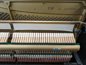 Second Hand Yamaha U1 Polished Ebony Upright Piano with Matching Stool; Serial No: F5193606