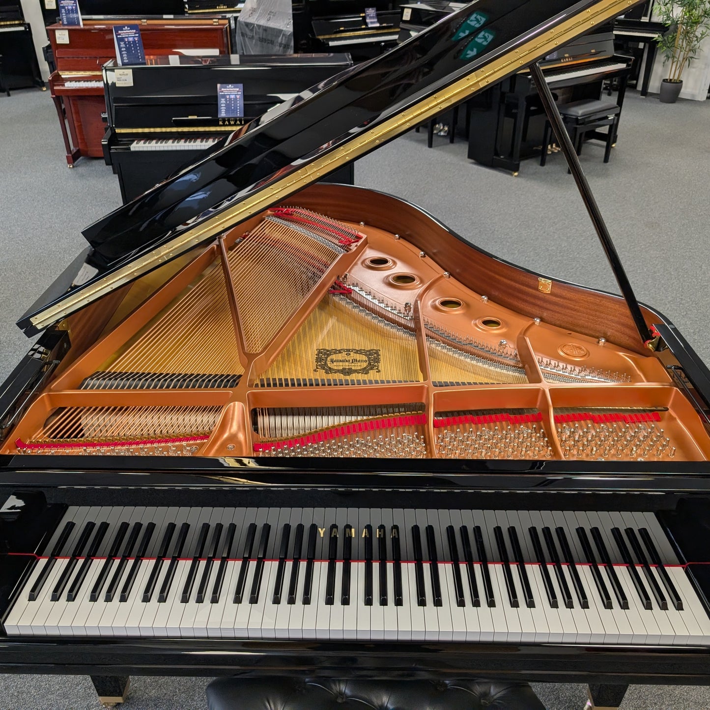 Yamaha GC2 Grand Piano in Polished Ebony: Serial No: 6537005 | Second Hand