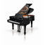W. Hoffmann Professional P206 Grand Piano in Polished Ebony