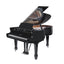 W. Hoffmann Professional P188 Grand Piano in Polished Ebony