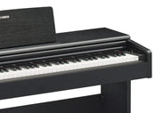 Yamaha YDP 145 Black Digital Piano; Serial No: BCFK01249; Ex Display Model; 3 Year Warranty