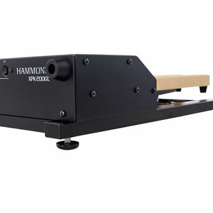 Hammond XPK-200GL 20-note universal MIDI Sound Long Pedalboard