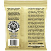Ernie Ball 2002 Earthwood Medium Set