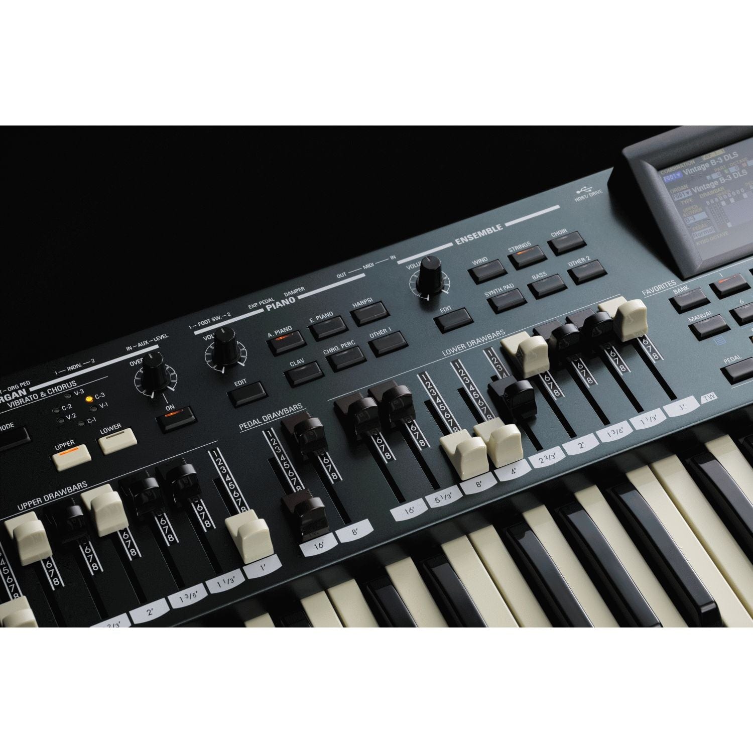 Hammond SKX Pro 61-Key Dual Manual Keyboard | Bonners Music