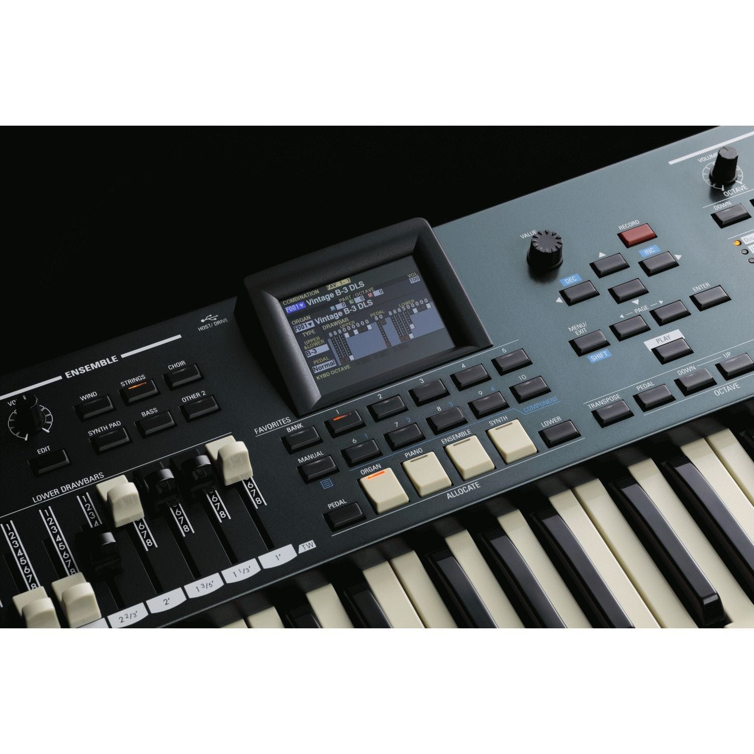 Hammond SKX Pro 61-Key Dual Manual Keyboard | Bonners Music