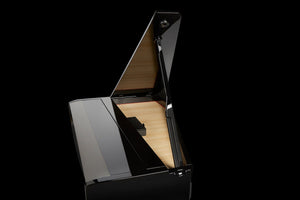 Dexibell H10MG Polished Ebony Mini Digital Grand Piano | Free Delivery & Installation