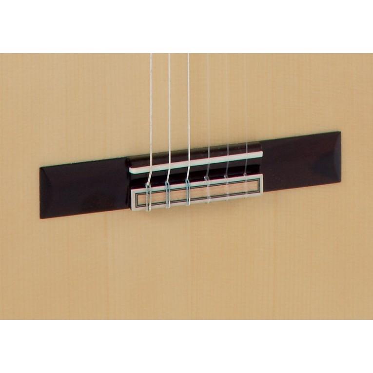 Raimundo 630E Electro Classical Guitar