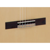 Raimundo 630E Electro Classical Guitar