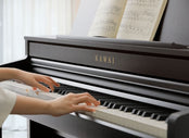 Kawai CA501 Rosewood Digital Piano