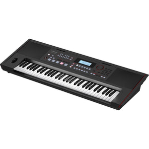 Roland E-X50 Entertainment Keyboard