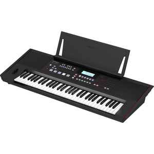 Roland E-X50 Entertainment Keyboard