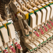 Feurich 123 Vienna Premium Upright Piano; Satin Walnut