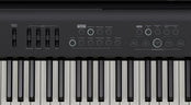 Roland FP-E50 Digital Piano Home Package; Black