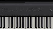 Roland FP-E50 Digital Piano Elite Package; Black