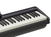 Roland FP10 Digital Piano Elite Package