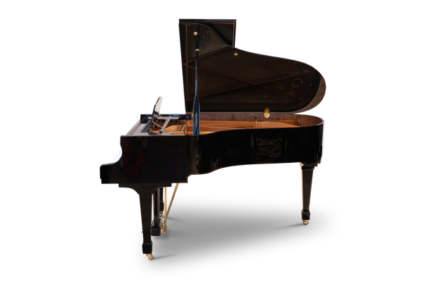 Steinberg online grand piano