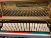 Second Hand Petrof 116E Upright Piano; 609595