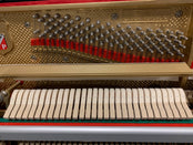 Second Hand Petrof 116E Upright Piano; 609595