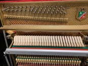 Second Hand Petrof 116E Upright Piano; 609595