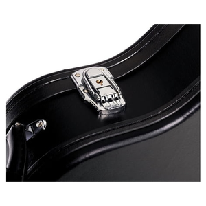 Epiphone Hard Case for Dot Sheraton Guitar