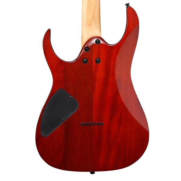 Ibanez RGEW521FM NTF Exotic Natural Flat Guitar