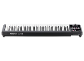 Roland A49 Black Controller Keyboard