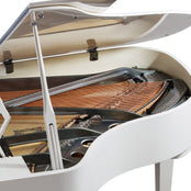 Feurich 179 Dynamic II Grand Piano; Polished White with Chrome Fittings