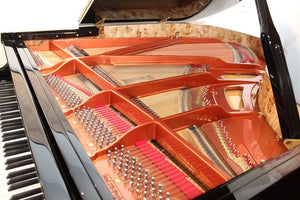 Feurich 179 Dynamic II Grand Piano; Polished Walnut