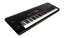 Korg NAUTILUS 73 Keyboard Workstation with FREE M1 Sound Pack Download