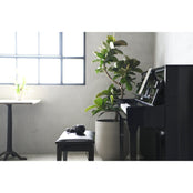 Kawai Novus NV5s Hybrid Piano Upgraded Package | Free Delivery & Installation