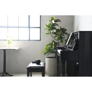 Kawai Novus NV5s Hybrid Piano Value Package | Free Delivery & Installation