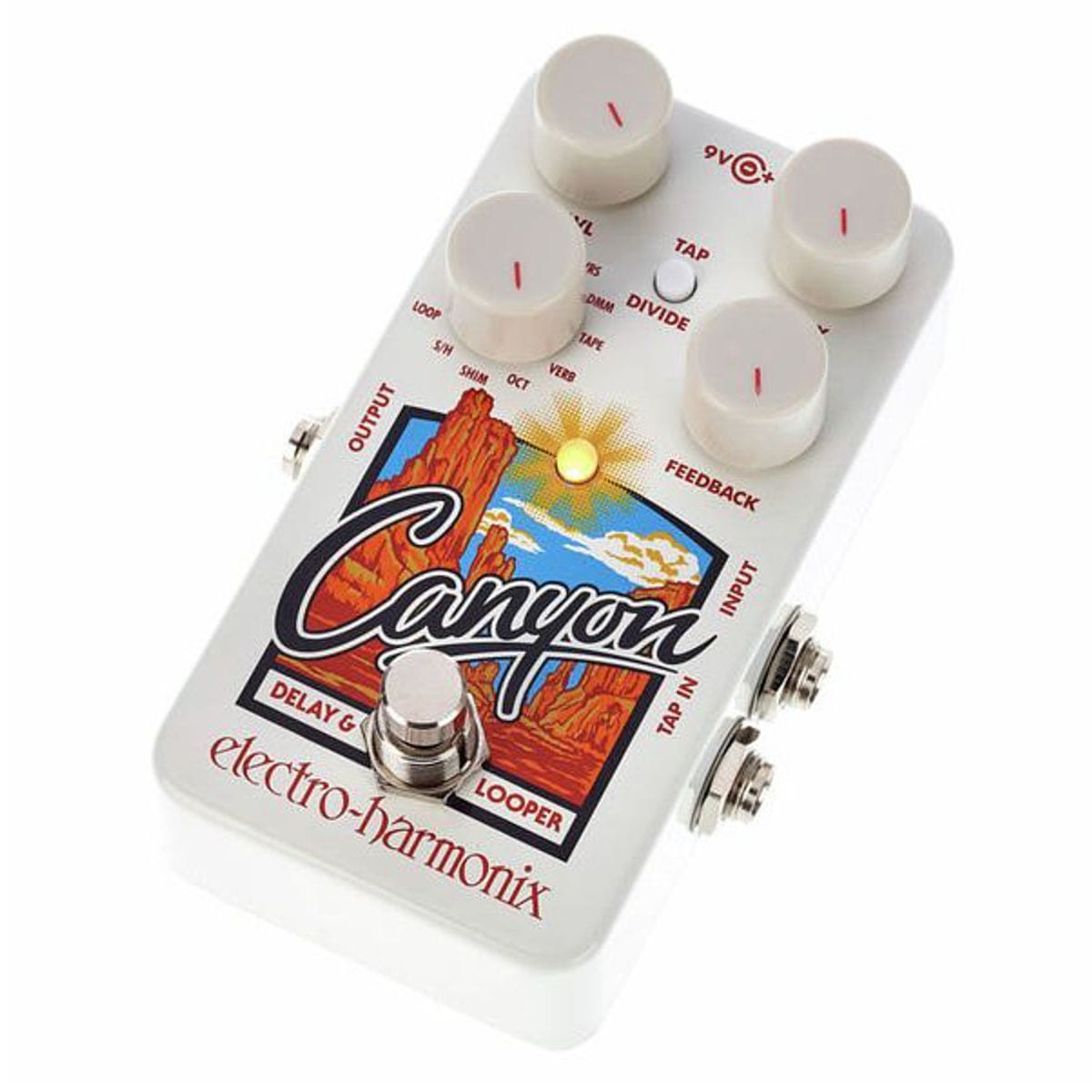 Electro Harmonix Canyon Delay and Looper