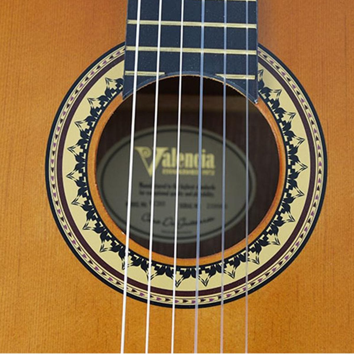 Valencia 200 Series 3/4 Classical Guitar inc Bag