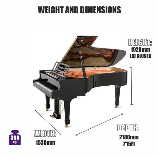 Buổi hòa nhạc Feurich 218 I Grand PianoBuổi hòa nhạc Feurich 218 I Grand Piano  