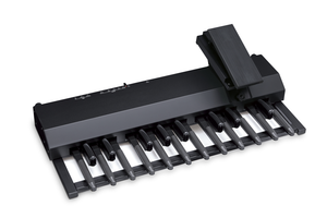 Hammond XPK-200G 20-note universal MIDI Sound Pedalboard