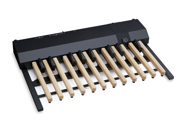 Hammond XPK-200GL 20-note universal MIDI Sound Long Pedalboard