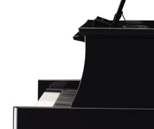 Yamaha N1x Branded Accessories Package