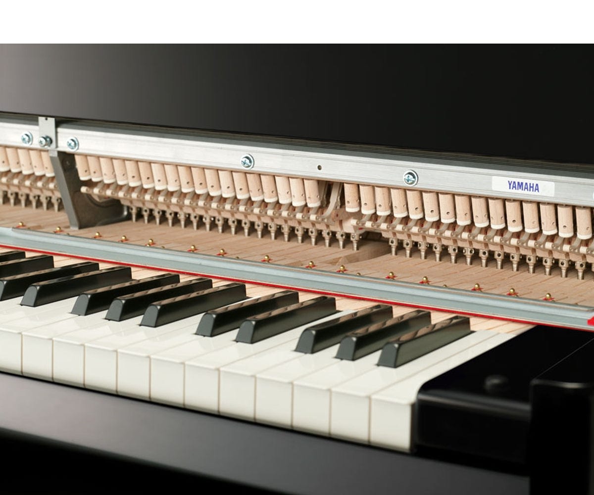 Yamaha N3x Concert Package