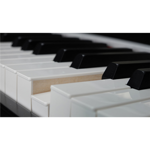 Viscount LEGEND '70s Artist W Keyboard; 88 Wooden Keys