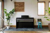 Kawai CN201 Digital Piano; Rosewood Value Package