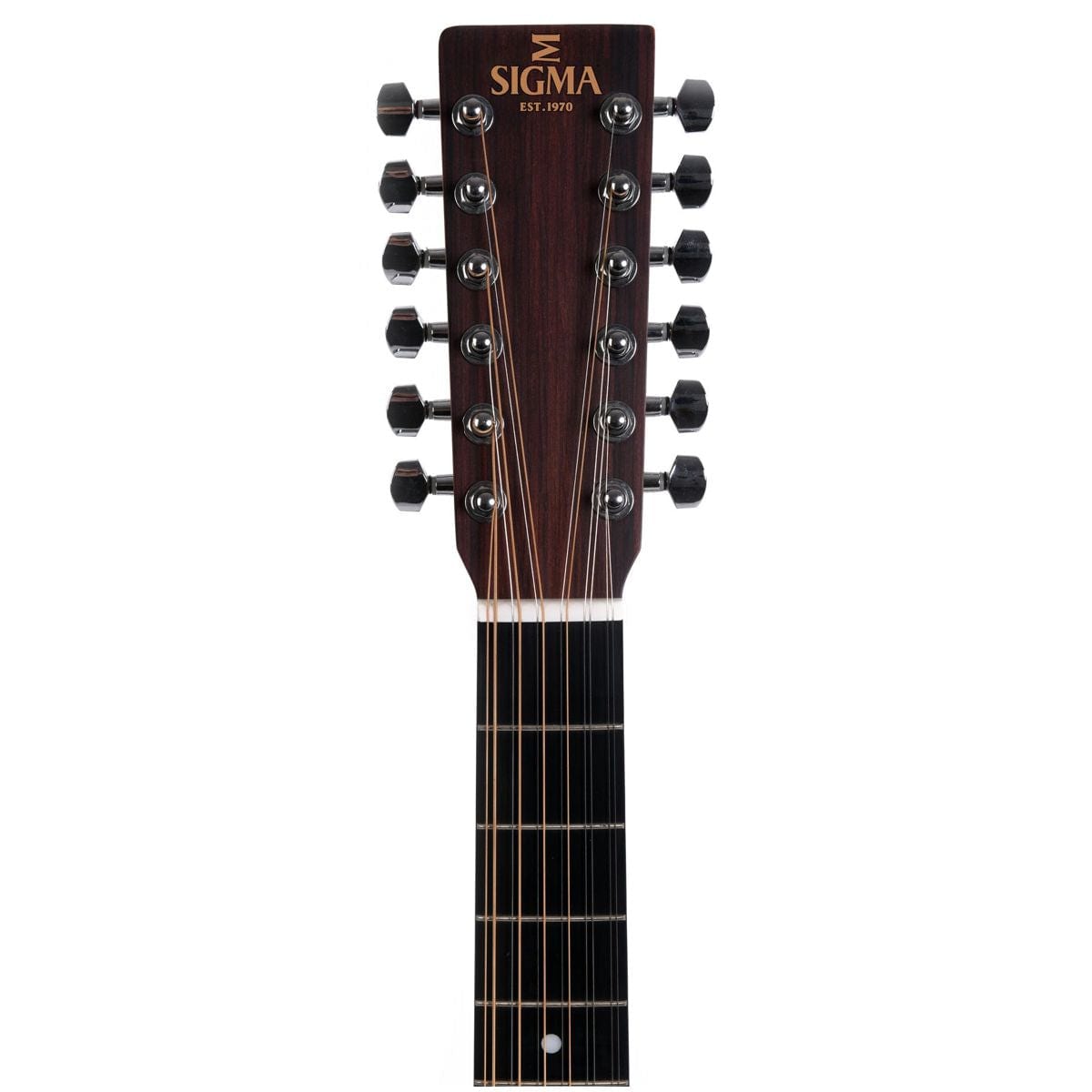 Sigma DM12E 12 String Electro Acoustic Guitar