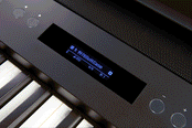 Roland FP60X Digital Piano; Black Upgraded Package